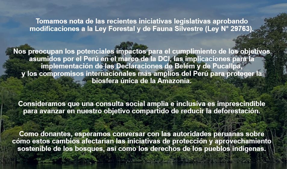 UKinPeru's tweet photo. 🇩🇪🇳🇴🇬🇧 Como socios del Perú en la Declaración Conjunta de Intención de cooperación para reducir las emisiones de gases de efecto invernadero debido a la deforestación y degradación forestal, junto con otros países cooperantes, expresamos lo siguiente respecto a la #LeyForestal. https://t.co/YtsNJs1tpe