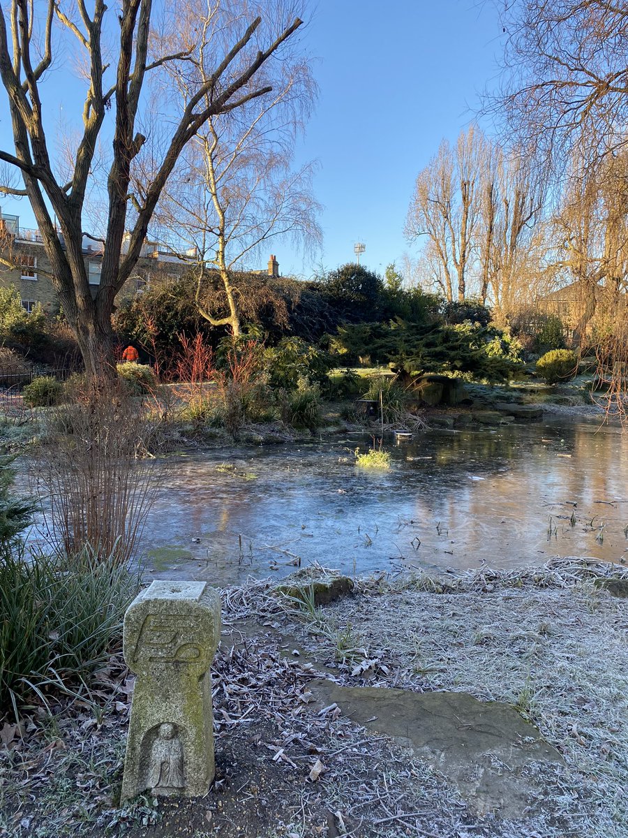 UK’s oldest public Japanese Garden this morning in W12. #whitecity #shepherdsbush #japaninlondon