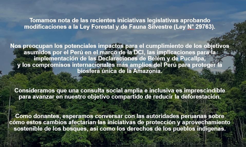 NoruegaEnChile's tweet photo. 🇩🇪🇳🇴🇬🇧Como socios del Perú en la Declaración Conjunta de Intención de cooperación para reducir las emisiones de gases de efecto invernadero debido a la deforestación y degradación forestal, junto con otros países cooperantes, expresamos lo siguiente respecto a la #LeyForestal https://t.co/NtMDnMo1r9