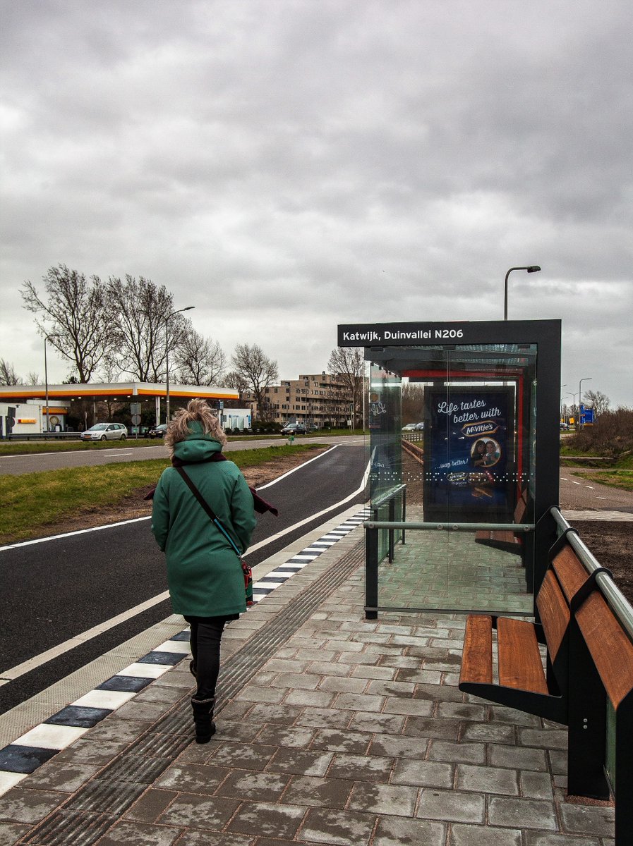allesoverkatwyk's tweet photo. Kaalslag langs N206: Provincie wil 253 bomen kappen -  https://t.co/5W0NkX5RPW https://t.co/2HTTrldm1J