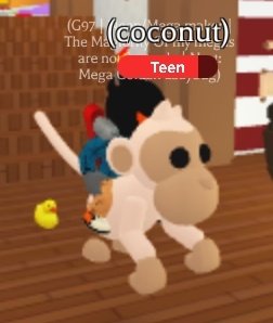 G97 💚🦭🧩 tweet media