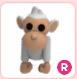 G97 💚🦭🧩 tweet media