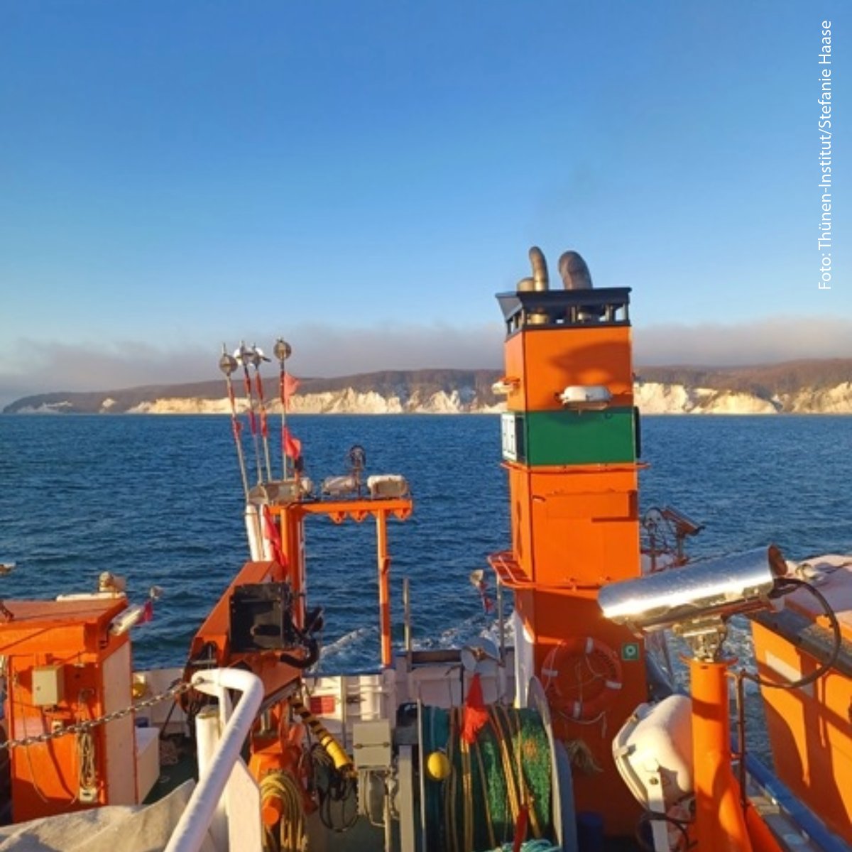 Schlickverklappung in der Sassnitzer Rinne: Welche Auswirkungen diese auf laichbereite #Hering|e hat, die sich dort im Winter sammeln, untersucht derzeit das <a href="/Thuenen_aktuell/">Thünen-Institut</a> mit einem außerplanmäßigen #Monitoring vor Ort. 👉thuenen.de/de/newsroom/de…