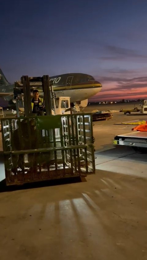 بحمدلله و فضله و بعد اكثر من ثمانية اشهر من بداية الحرب تمكن فريق مركز السودان لانقاذ الحياة البرية بالتعاون مع منظمة المخالب الاربعة و شرطة الحياة البرية من اجلاء الحيوانات للمرة الثانية 
m.facebook.com/story.php?stor…