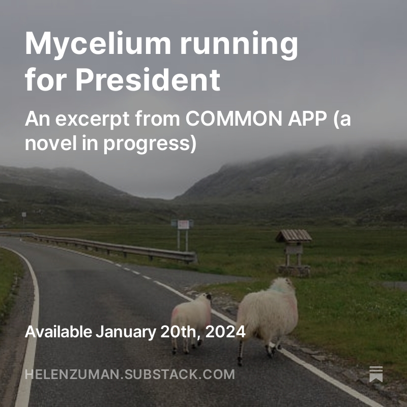 Republicrats got you down? Subscribe at helenzuman.substack.com.