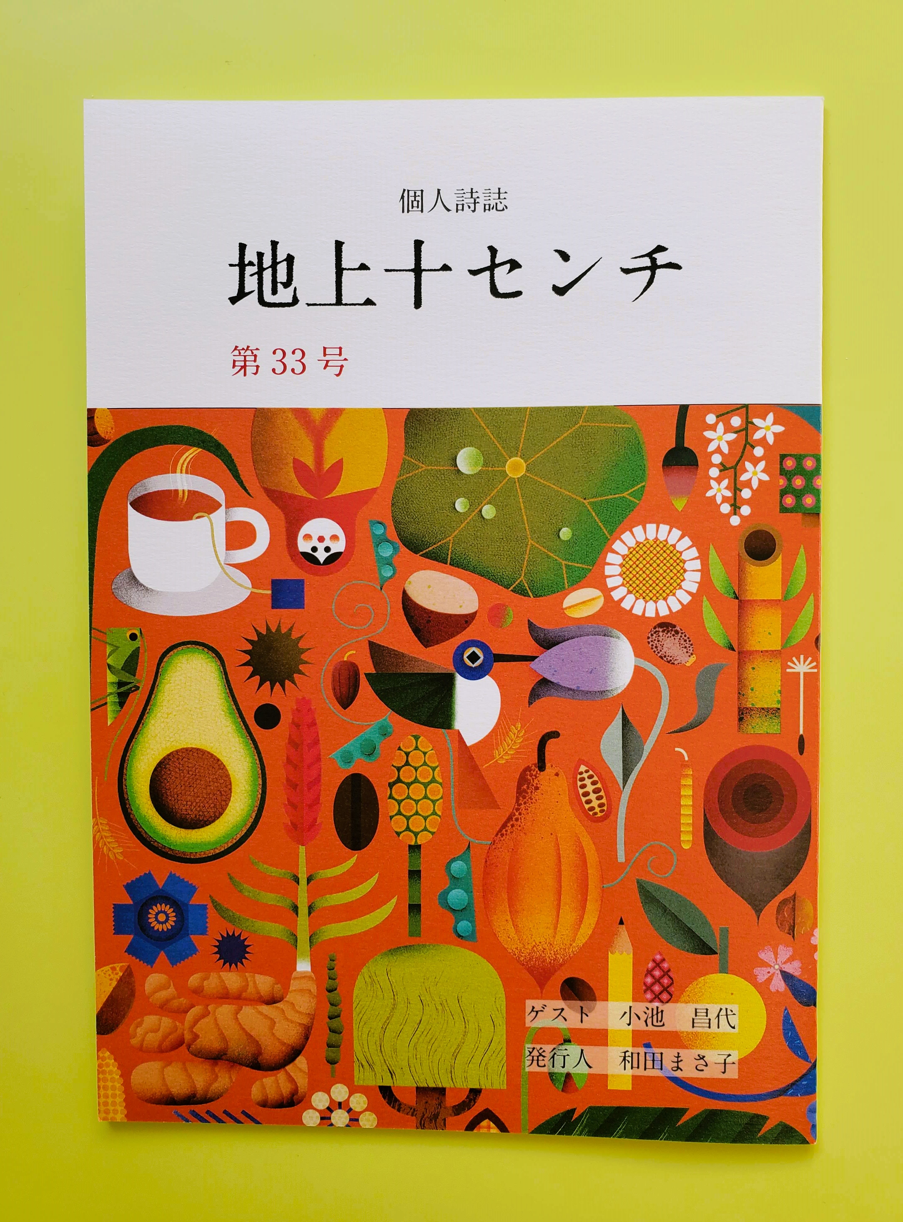 Traditional Japanese Color Palette (Paperback)