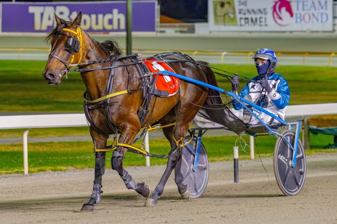 Gloucester Park tweet media