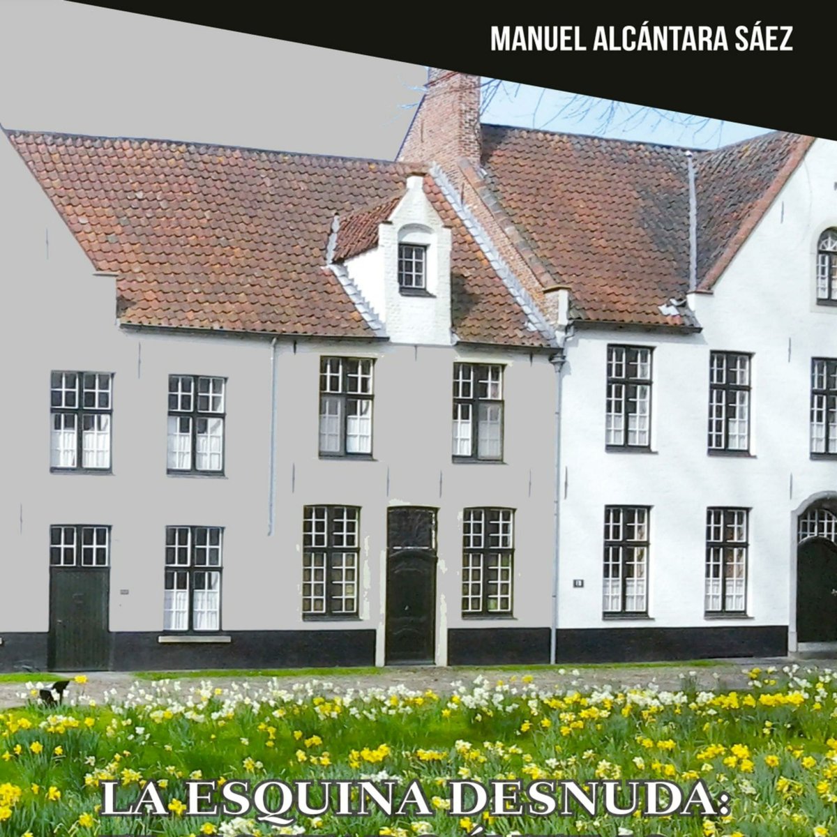 martinezgajulio's tweet photo. Vender una experiencia. Ep 41 - La esquina desnuda, el costado íntimo, por Manuel Alcántara, catedrático emérito de la #Universidad de #Salmanca
https://t.co/Paf5uLMrLU https://t.co/wLHSlf6GmZ