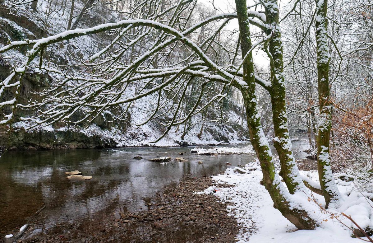 Tornadoliste's tweet photo. Winterlandschaft an der Wupper in NRW, aufgenommen am Freitag (19.01.2024) von Achim Otto, vielen Dank!

#Schnee #Winter #Wupper https://t.co/jOm6lY1fDL
