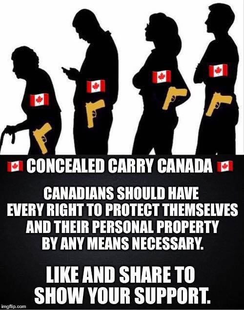 Kelly Rae🍁 tweet media