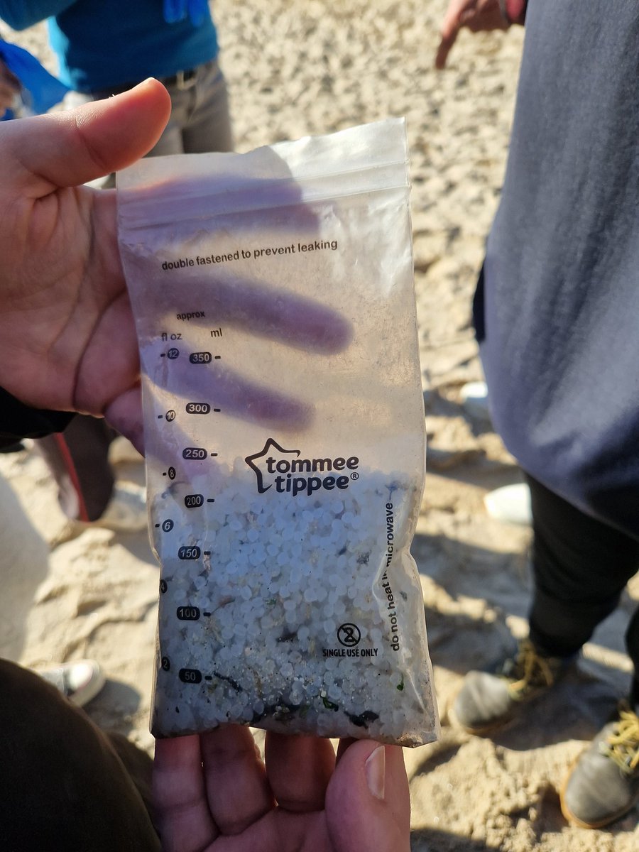 fizetal's tweet photo. Mañá de limpeza de pellets (e demais residuos) na Praia do Matadoiro organizada pola @OMA_UDC https://t.co/uCWoQzL1qY