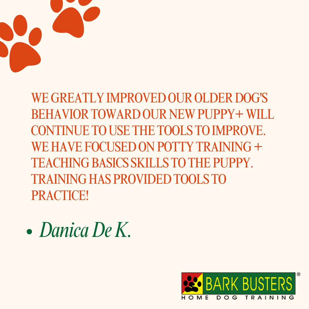 Thrilled with results! Our older dog now embraces our playful puppy, thanks to consistent training. Potty training and basic skills are shaping a harmonious canine duo!

#stephaniecurtis #dogtraining #puppytraining #valleydogtraining #inhomebehavioraltraining #caninecommunication