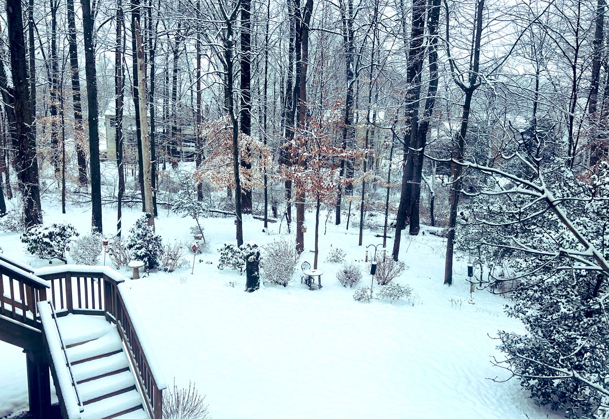 A beautiful snowy morning in Burke! 3 more inches so far. @capitalweather @ChuckBell4