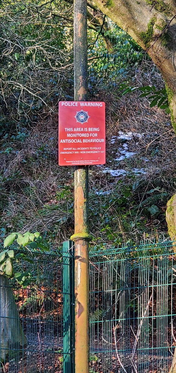 EvelDick tweet media