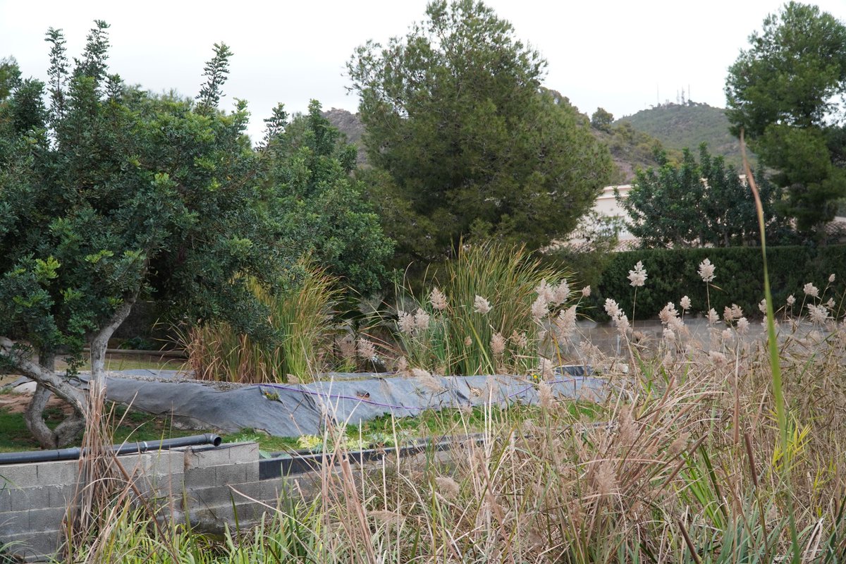 CHJucar's tweet photo. 🌿Visitamos #LosMonasterios #Puzol para conocer el proyecto de ecogestión integral que realiza #FundacióMediambiental con @iiama_upv y @EconomiaAguaUV.

💧Su fitodepuradora basada en humedales artificiales es un ejemplo de éxito de gestión sostenible de aguas residuales. https://t.co/jJX5DR0LB9