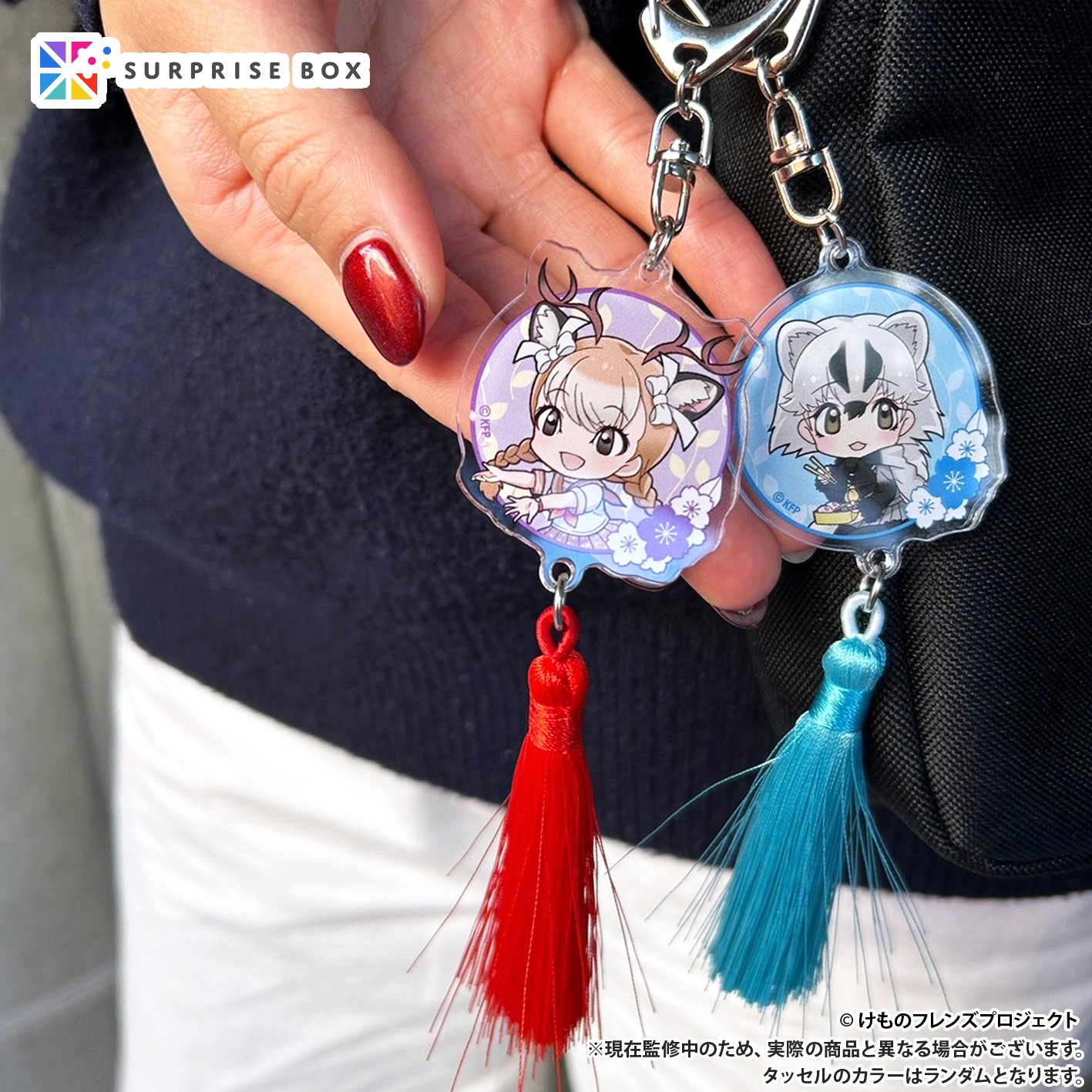 SB】-サプライズボックス- 何が入っているかはお楽しみ！ on X