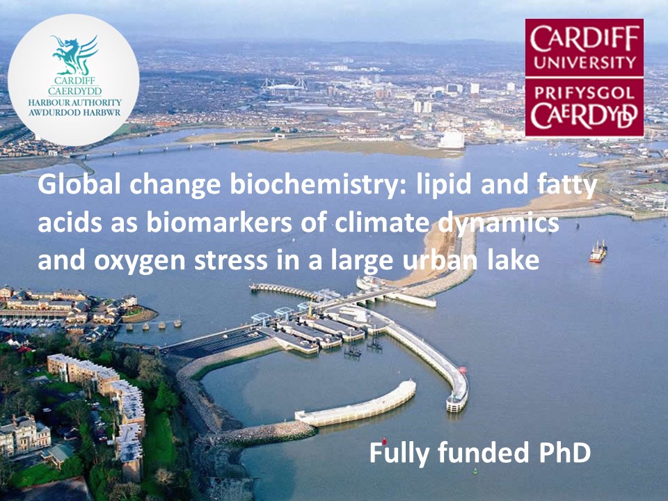 This new - fully funded - PhD will join a small group investigating the biological effects of oxygen dynamics in Cardiff Bay: please RT or apply here > findaphd.com/phds/project/g…
