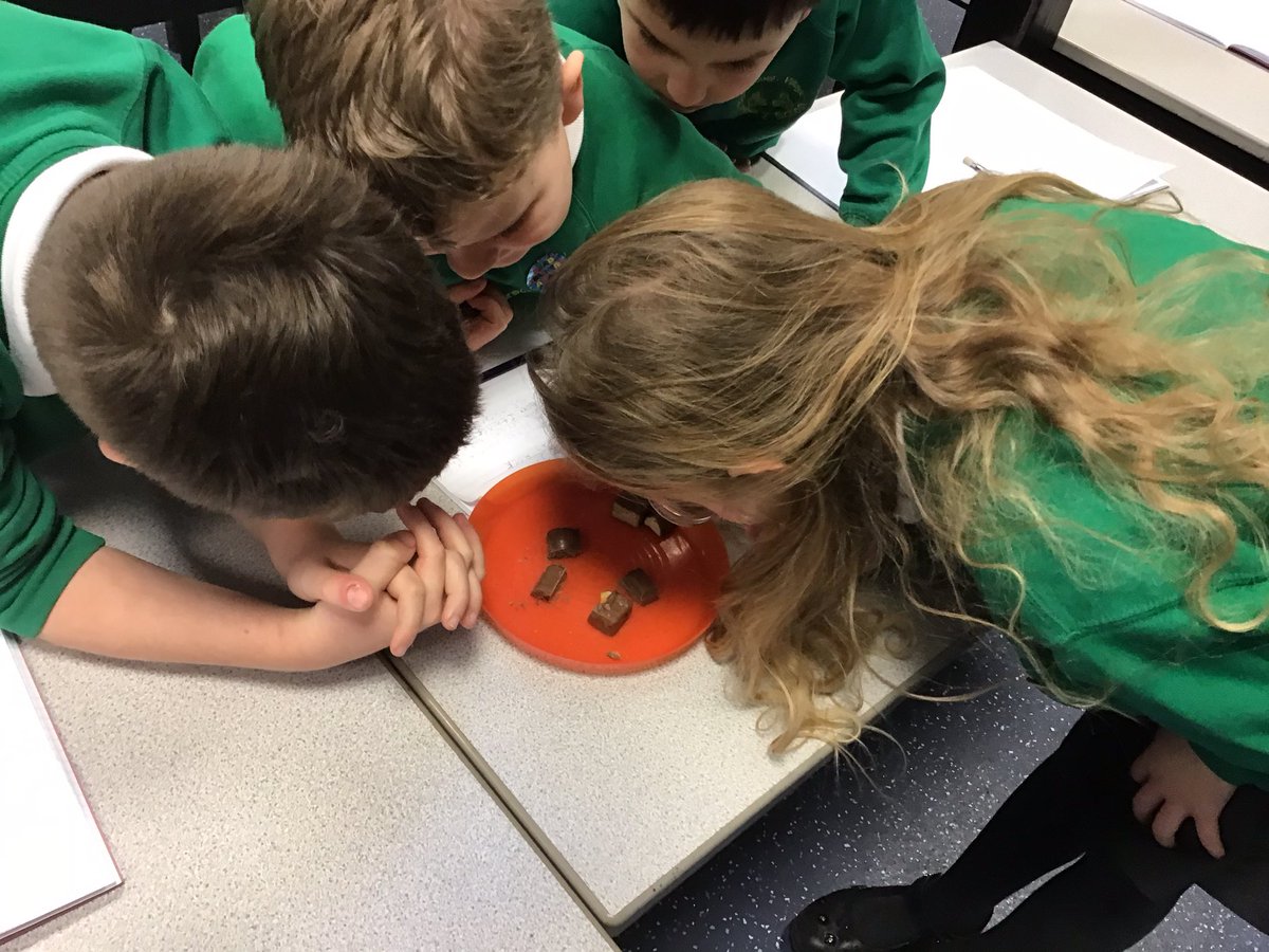 BVPS Year 3 Class Page tweet media