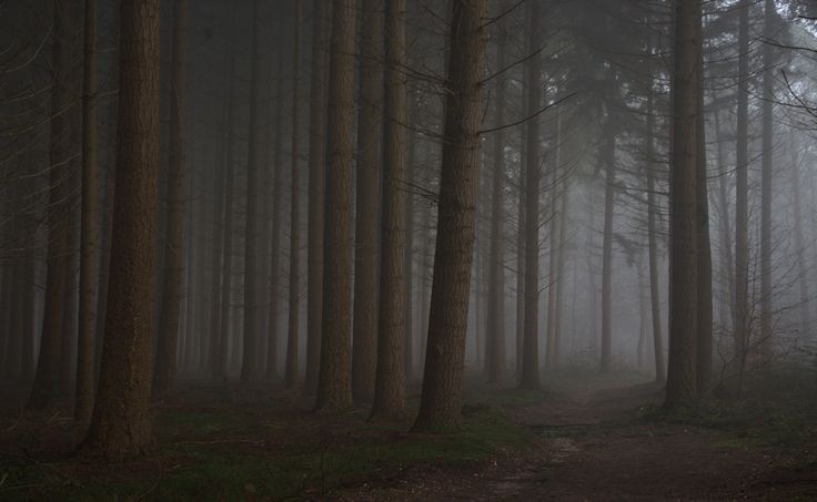 𖤐𝘼𝙚𝙨𝙩𝙝𝙚𝙩𝙞𝙘 𝘾𝙤𝙧𝙚𖤐 tweet media