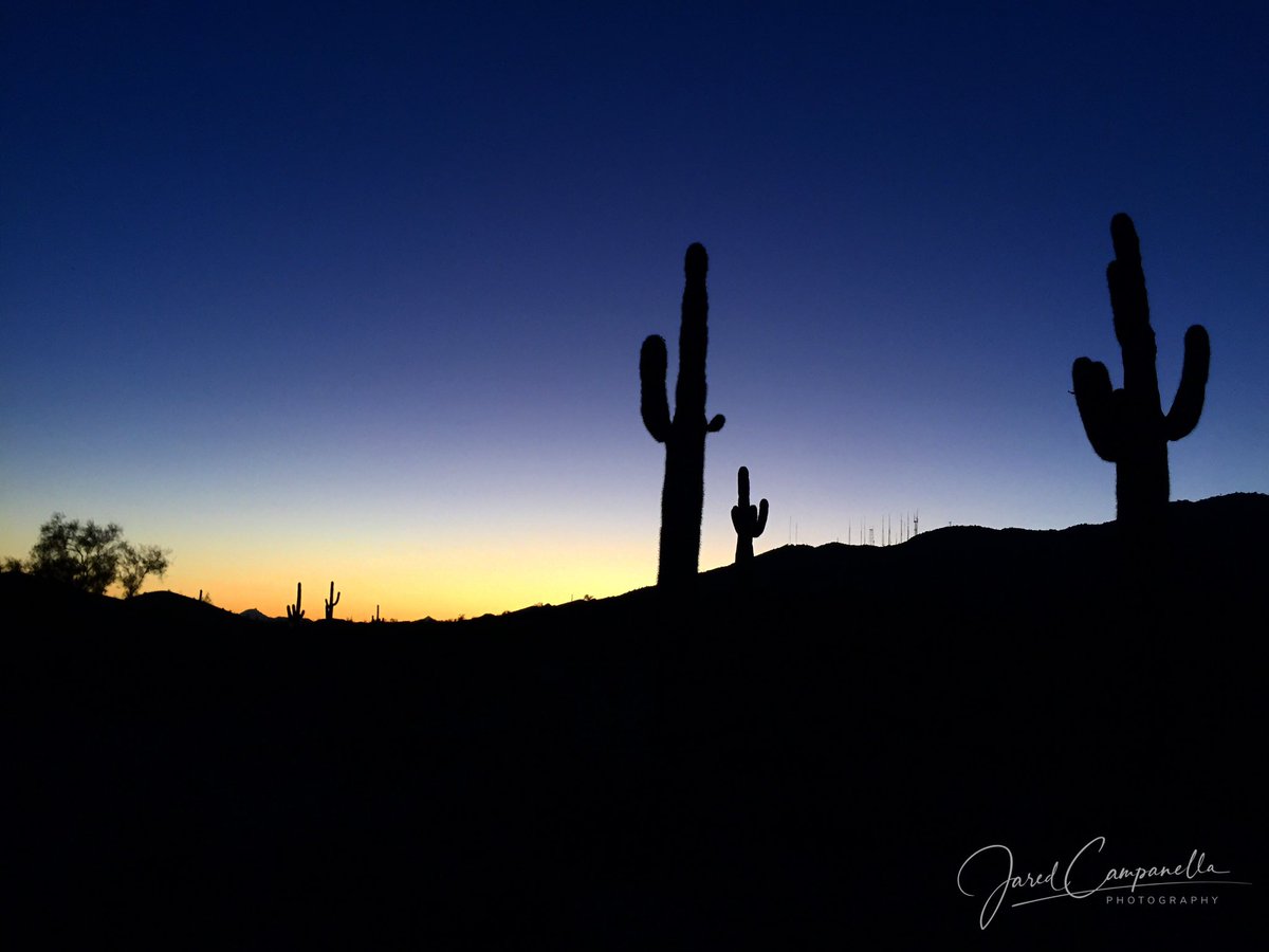JCampy90's tweet photo. The desert always feels like home to me and absolutely nothing beats the sunsets. A trip out west at least once a year is a must to explore new trails and visit family.
.
.
📍Phoenix, AZ 🌵 https://t.co/HhHJ3Gwxuk