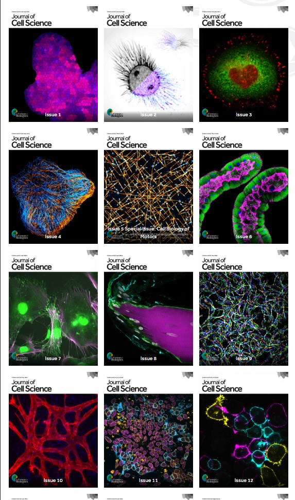 FocalPlane tweet media