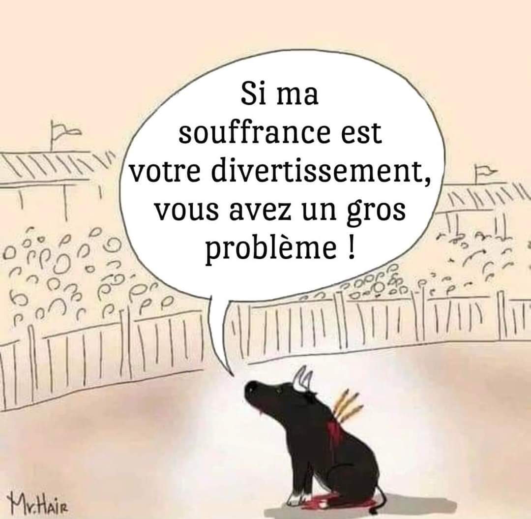 Animal Passion 🐾 tweet media