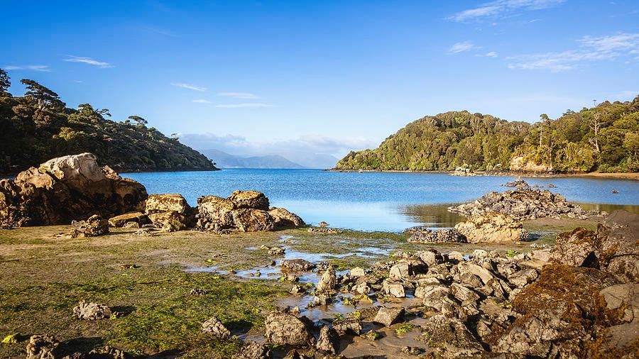 joancarroll's tweet photo. Deep Bay Stewart Island New Zealand! https://t.co/Ria6CG9Xao #NewZealand #deepbay #stewartisland #rakiura #ocean #seascape @joancarroll https://t.co/oV2KTWaJY1