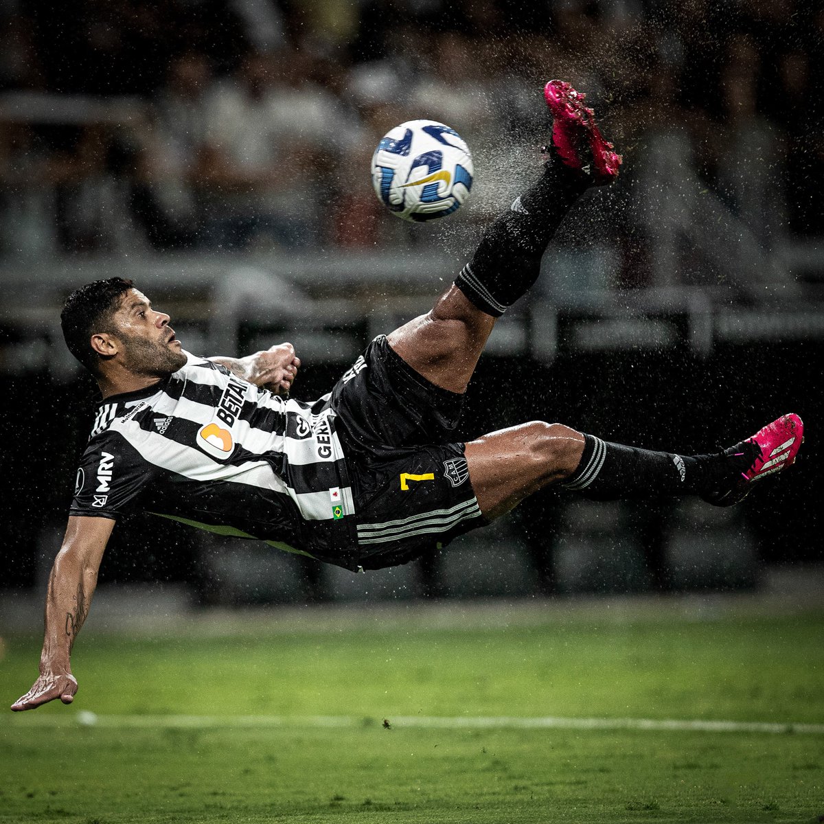 Mineirao's tweet photo. 📸 Marcelo Alvarenga https://t.co/nMamXcYncB