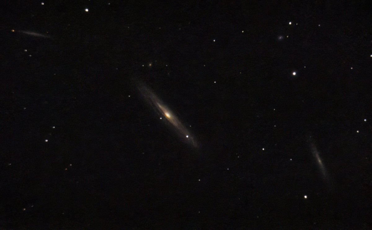 Tal Givoly tweet media