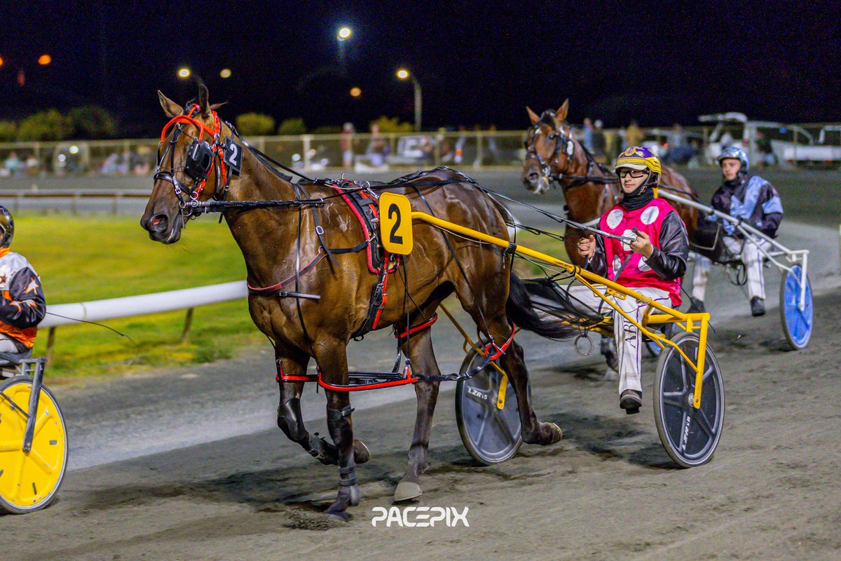 Busselton Trotting Club tweet media