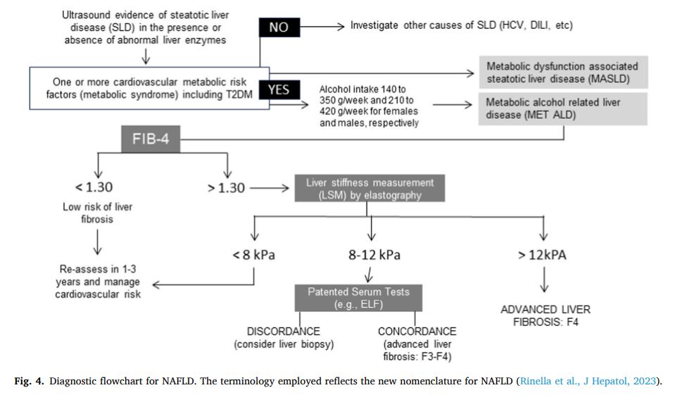 Henry E. Chang (@henryechang) on Twitter photo Delve into the complex world of #liver fibrosis in #MASLD #MASH. This comprehensive <a href="/MolAspMed/">Molecular Aspects of Medicine</a> review by Maurizio Parola & <a href="/MassimoPinzani/">Massimo Pinzani</a> covers everything from pathophysiology to the latest in diagnostics and therapies. A must-read for those seeking depth and detail in liver Delve into the complex world of #liver fibrosis in #MASLD #MASH. This comprehensive <a href="/MolAspMed/">Molecular Aspects of Medicine</a> review by Maurizio Parola & <a href="/MassimoPinzani/">Massimo Pinzani</a> covers everything from pathophysiology to the latest in diagnostics and therapies. A must-read for those seeking depth and detail in liver