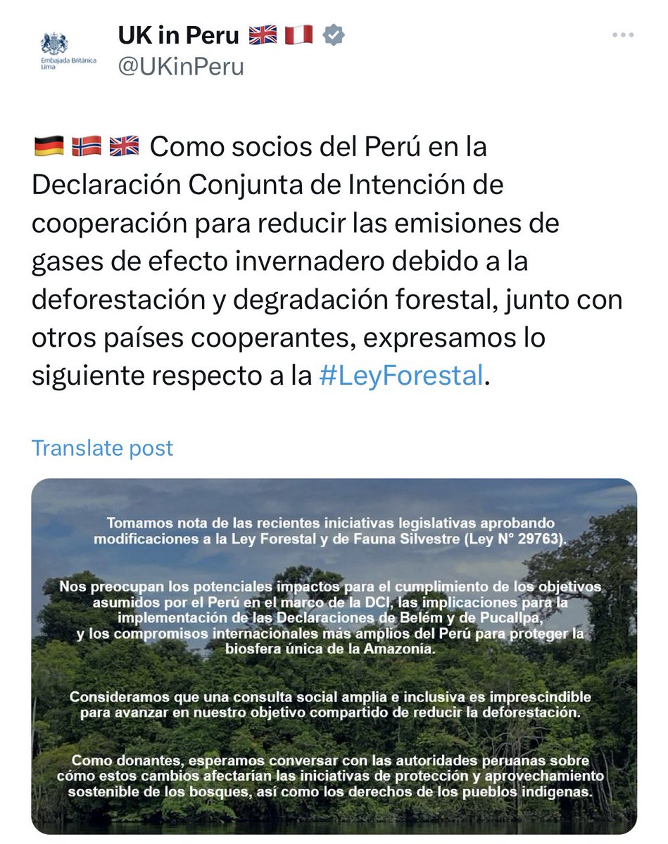 jurrunaga's tweet photo. Gobiernos de #DCI @UKinPeru @NoruegaEnChile #Alemania +@CanadaenPeru se pronuncian contra #LeyAntiforestal. Quienes decían que esta ley ayudaría al comercio internacional mintieron y convierten a #Peru en país de alto riesgo, además de violar #DerechosHumanos y #DerechosIndigenas https://t.co/9ZPULD0mkS
