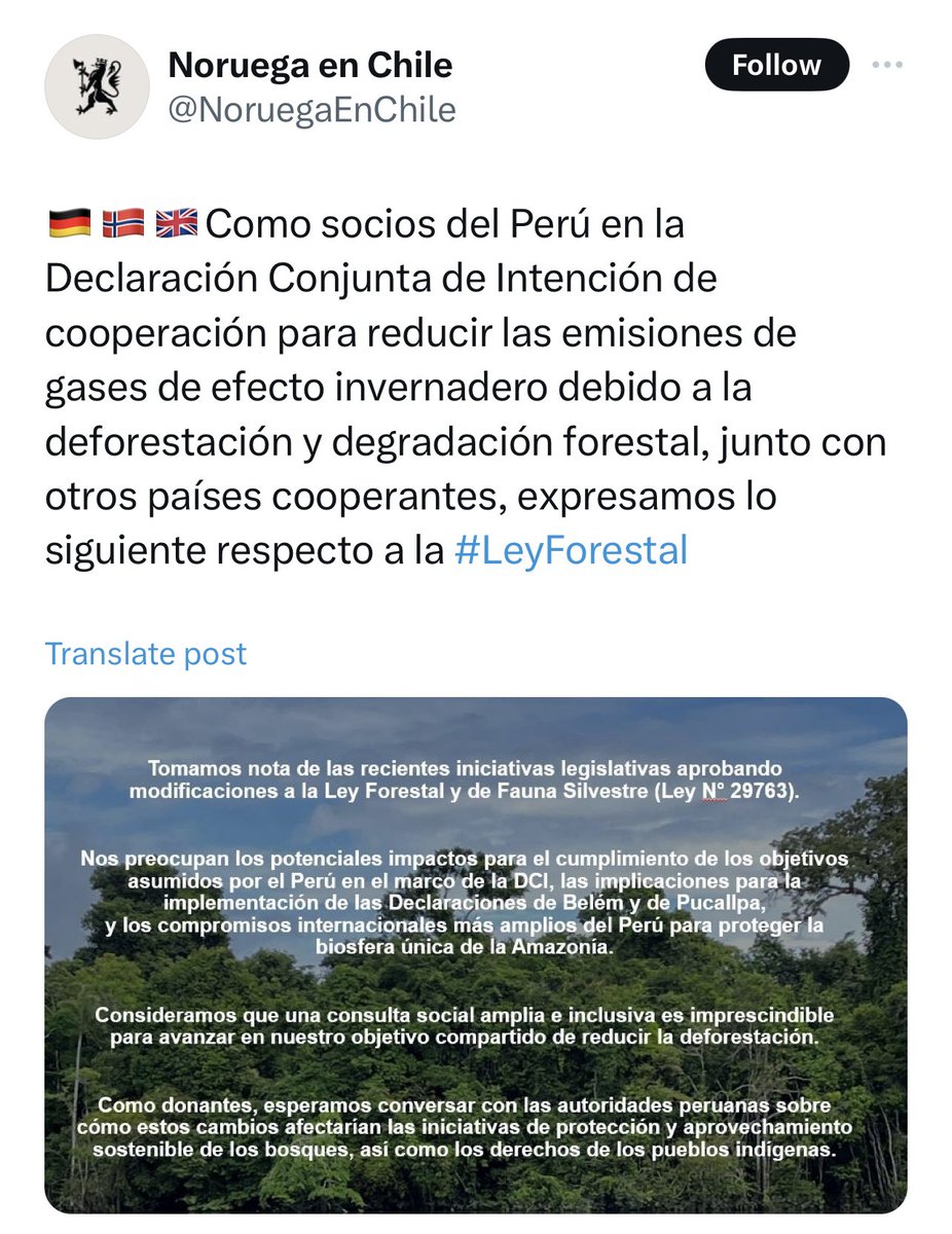jurrunaga's tweet photo. Gobiernos de #DCI @UKinPeru @NoruegaEnChile #Alemania +@CanadaenPeru se pronuncian contra #LeyAntiforestal. Quienes decían que esta ley ayudaría al comercio internacional mintieron y convierten a #Peru en país de alto riesgo, además de violar #DerechosHumanos y #DerechosIndigenas https://t.co/9ZPULD0mkS