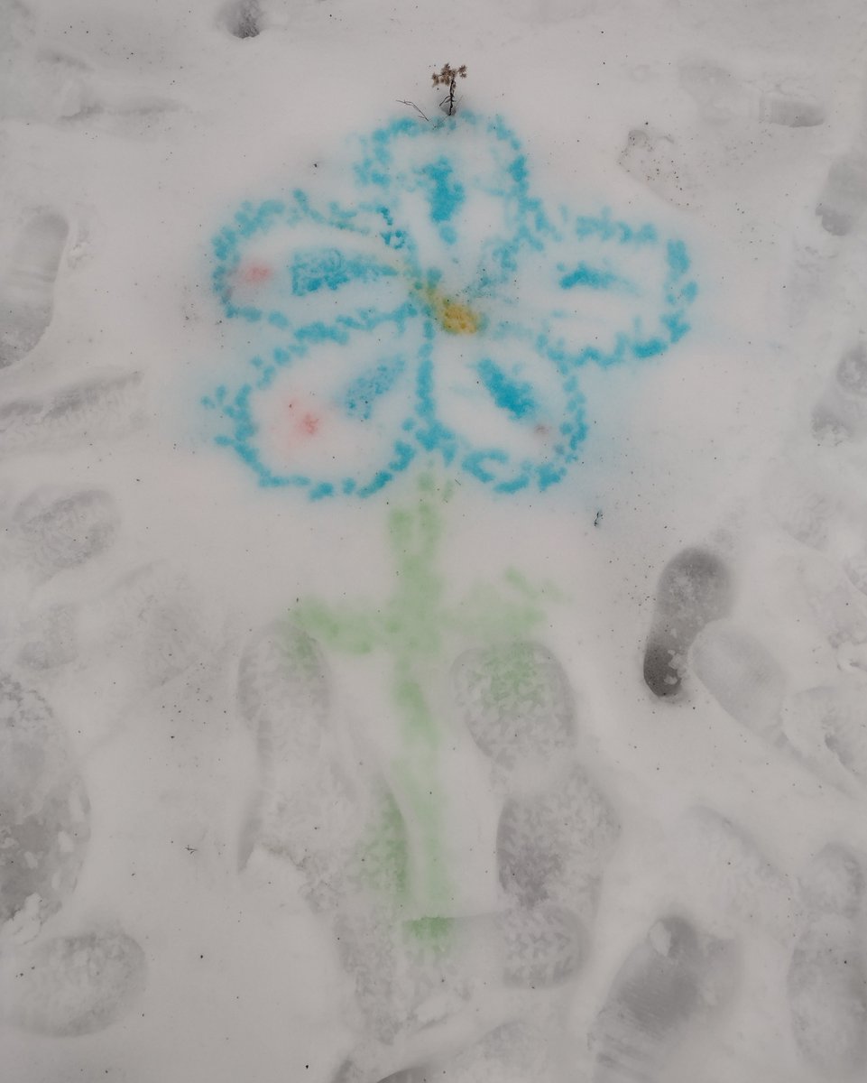 NewfoundRegion's tweet image. Due to the cold temps and wind chill for tomorrow, Nature Station is cancelled- we'll have activity bags in the office today and next week when you are looking for ways to explore winter! Stay warm and we'll see you soon- NewfoundLake.org/events