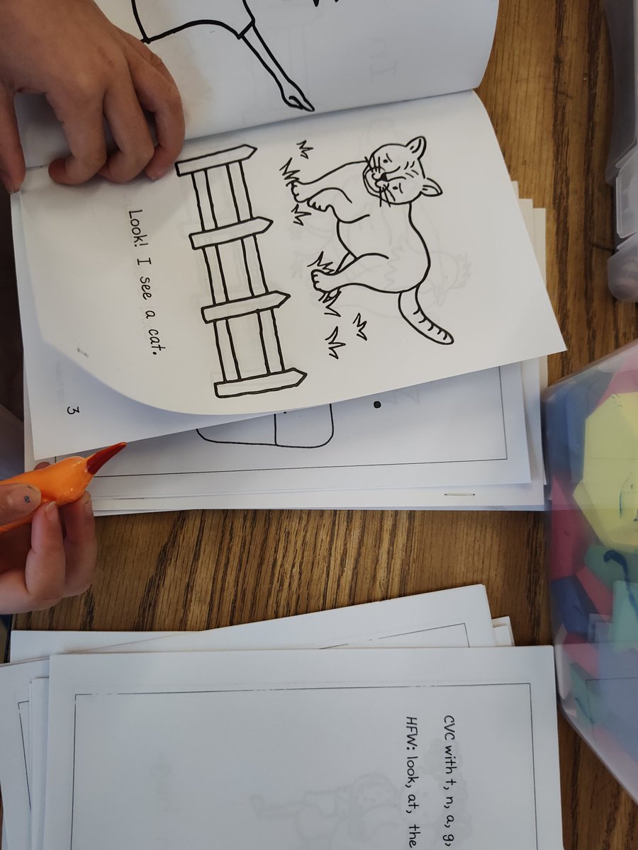 Reading Workshop in K - W #heathcotepride