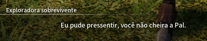 Ruivones. 🎥 tweet media