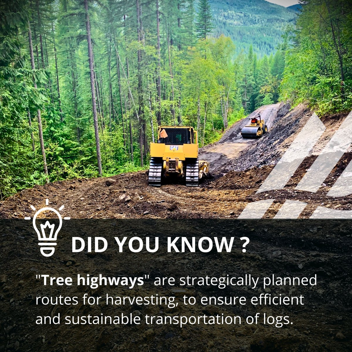 Sutherland_Grp's tweet image. In BC&apos;s forestry practices, these designated routes are meticulously planned for log transportation. They play a crucial role in responsible forestry by optimizing resource efficiency and minimizing environmental impact. hubs.ly/Q02fbtCL0
#SustainableLogging #BCEco