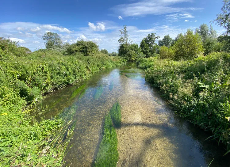 Farmers in Wiltshire's Wylye Valley are leading the way in environmental stewardship.

The 'What's in the Wylye?' initiative, led by 34 farmers, is dedicated to understanding and enhancing water quality in the River Wylye.

Find out more here👉 nfuonline.com/updates-and-in…