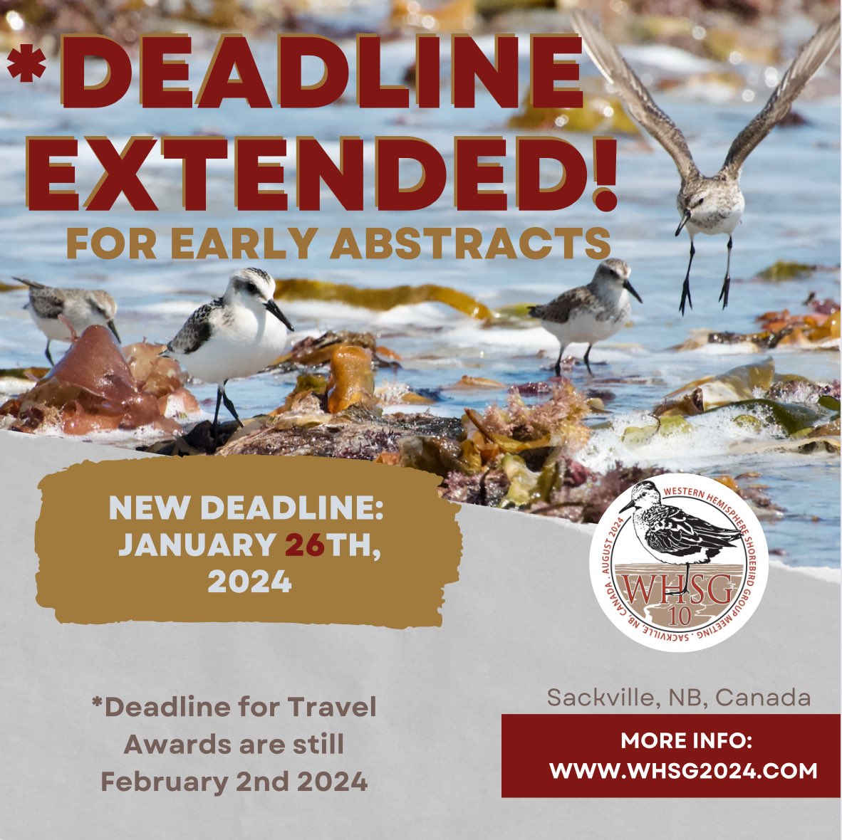 Western Hemisphere Shorebird Group 2024 tweet media