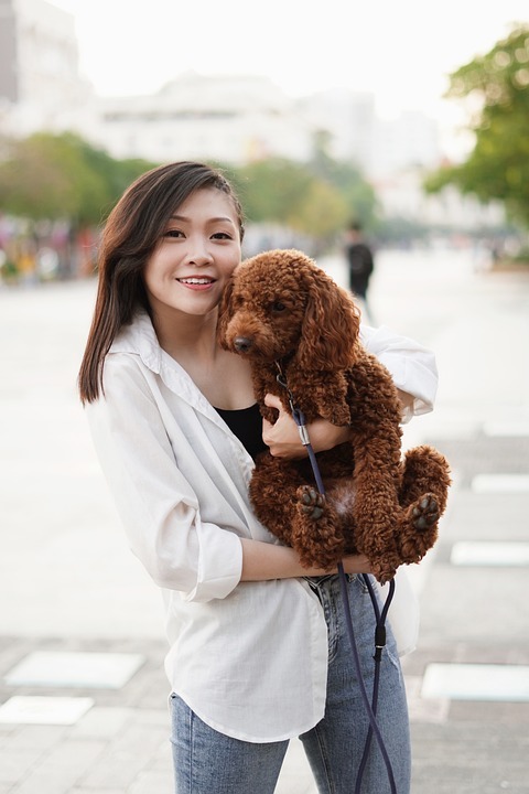 ChatonChio's tweet photo. Best Raw Dog Foods https://t.co/Y7ESMRUGhJ 

When it comes to feeding our furry friends, the vast array of options can be both a blessing and a conundrum for pet owners. Among these options, raw dog food has gained popularity as a diet that mirrors ancestral canine diets. Advoc… https://t.co/bmZZM5wBDU