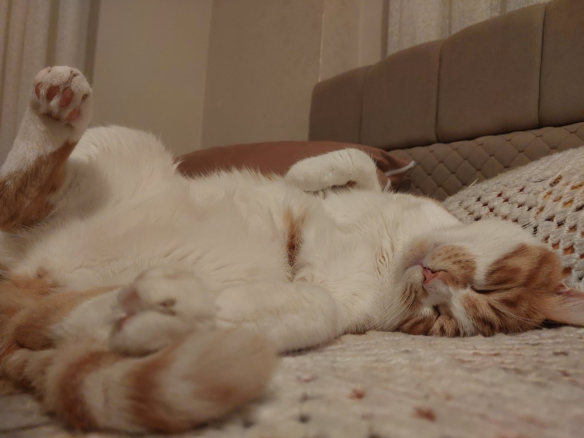 biraz içim geçmiş