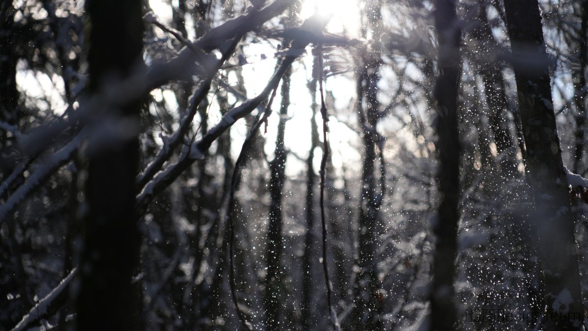 K375DesignTeam's tweet photo. winter impressionen 2.0 https://t.co/KrhW9P95VU