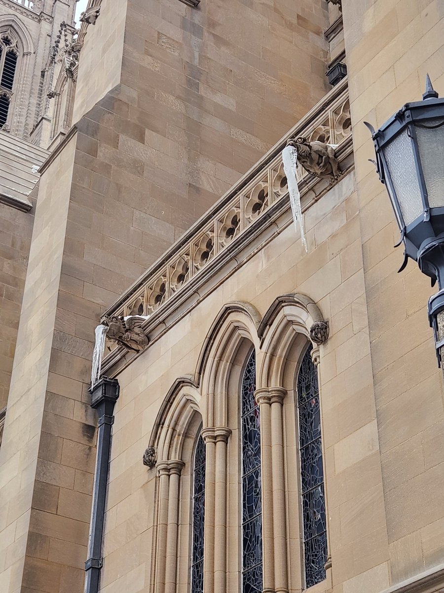 UrbanAdvSquad's tweet image. Squad members will go hunting for gargoyles and more during our Gothic architecture program a week from today, when DCPS has a PD day. Registration closes at 8pm! 

urbanadventuresquad.org/fulldayprograms