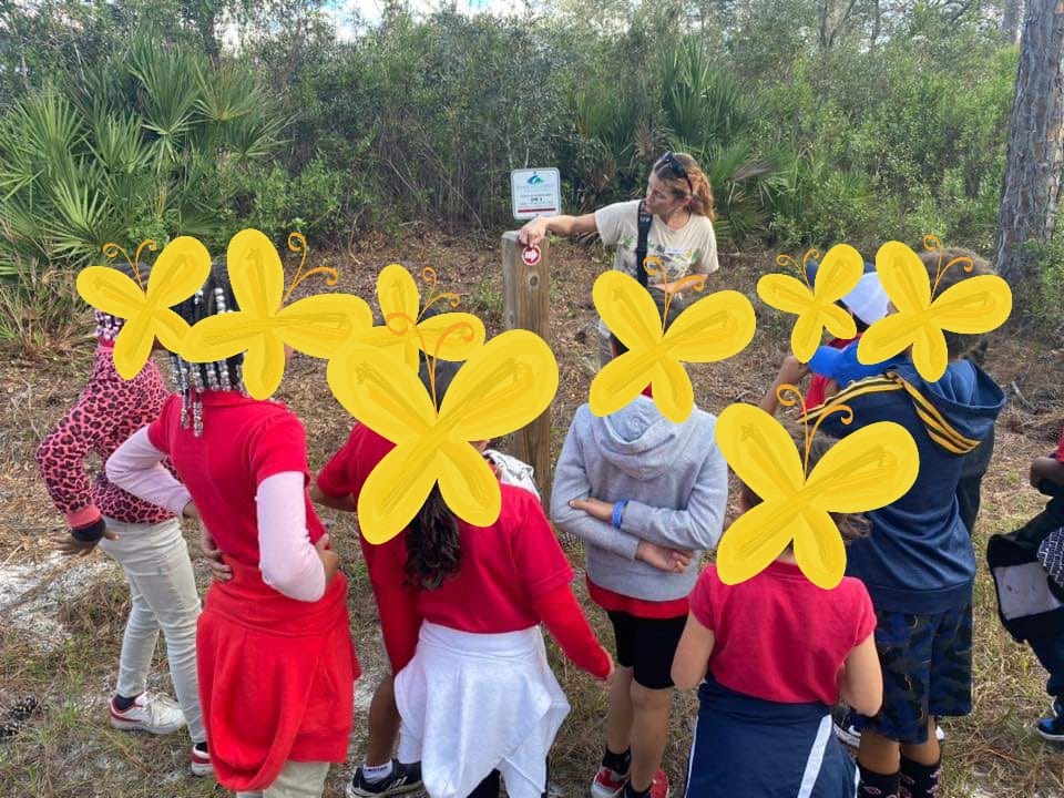 Cuplet Fern Florida Native Plant Society tweet media