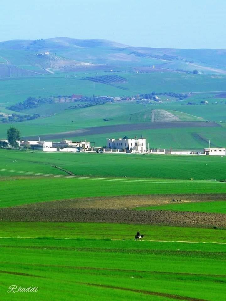 Countryside in Taounate Province, Morocco 🇲🇦