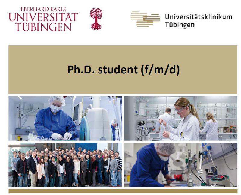 The #Immunology research group of PD Dr. Manfred Kneilling is on the lookout for a passionate #PhD student to focus on "Combined Viro- Immunotherapy and PET/MRI guided monitoring of in vivo immune responses".

#ApplyNow: jobs.medizin.uni-tuebingen.de/Job/3960/PhD-p…

 #PhDpost #Research