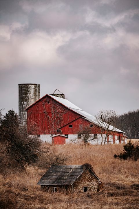 Gina Ziegler tweet media