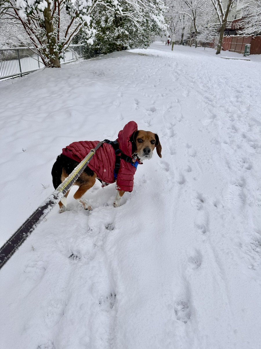 Come on Mom! The sniffs aren’t gonna sniff themselves…