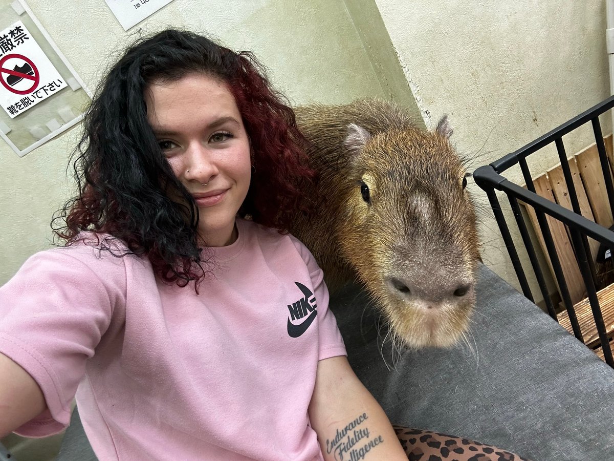 Lisacanrana's tweet photo. Hung out with this massive fuck off hamster. https://t.co/OxkYyA41PT