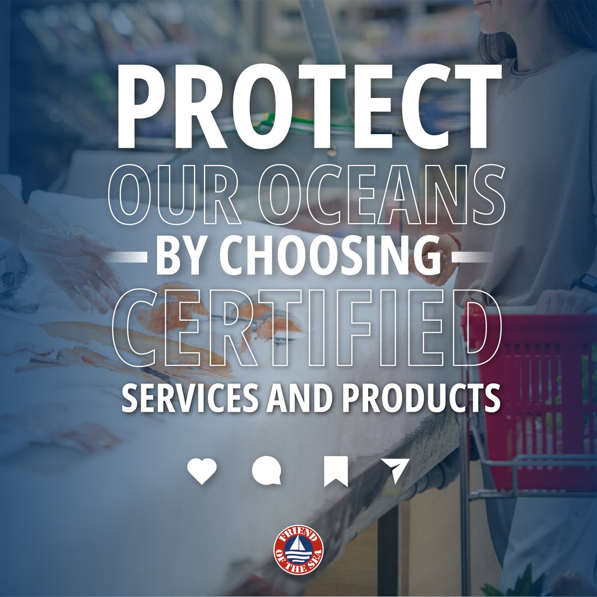 friendofthesea's tweet photo. Did you know that opting for Friend of the Sea-certified products and services represents a commitment to marine life, sustainable practices, and ethical industry standards?
Make the right choice: Choose Friend of the Sea-certified products and services.
#SustainableLiving https://t.co/ARuroji0XV